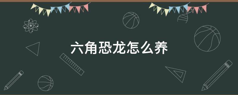 六角恐龙怎么养 夏天六角恐龙怎么养