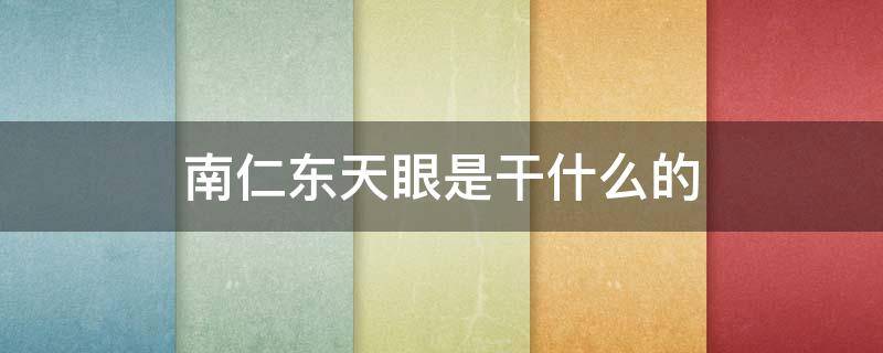 南仁东天眼是干什么的 南仁东天眼简介