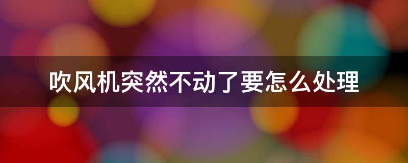 吹风机突然不动了要怎么处理（吹风机突然不动了怎么办）