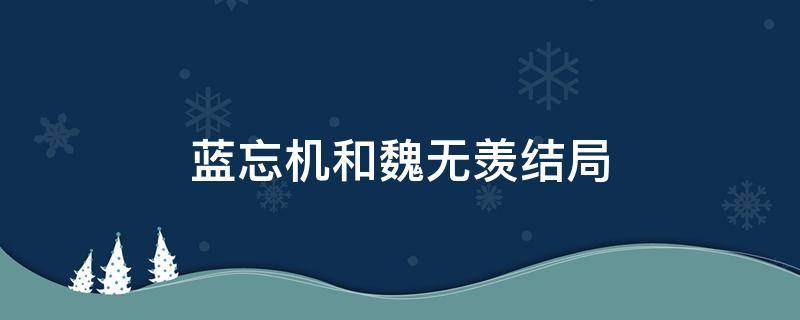蓝忘机和魏无羡结局（蓝忘机和魏无羡结局是什么）
