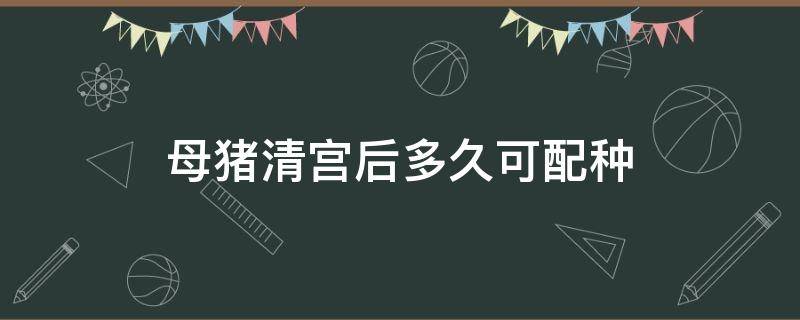 母猪清宫后多久可配种 母猪清完宫多久能配种