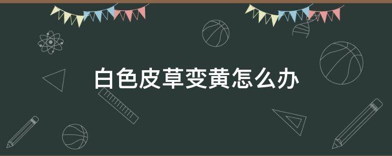 白色皮草变黄怎么办（白色皮草变黄了怎么办）