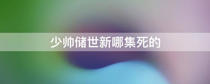 少帅储世新哪集死的（少帅电视剧储团长哪一集死的）