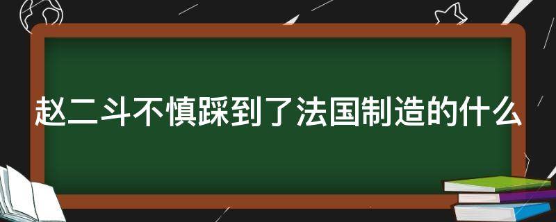 赵二斗不慎踩到了法国制造的什么 赵二斗不慎踩到了法国制造的什么东西