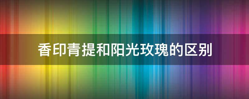 香印青提和阳光玫瑰的区别 青印香提与阳光玫瑰