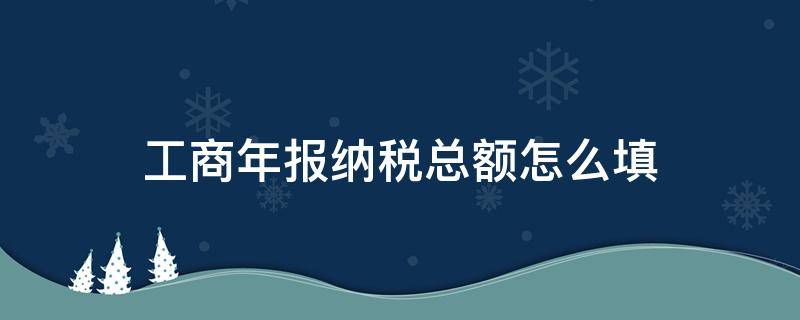 工商年报纳税总额怎么填（工商年报纳税总额怎么填写）