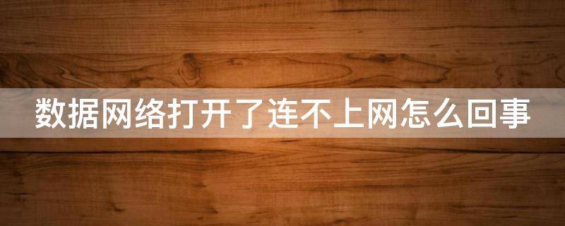 数据网络打开了连不上网怎么回事 数据网络打开了连不上网怎么回事苹果手机