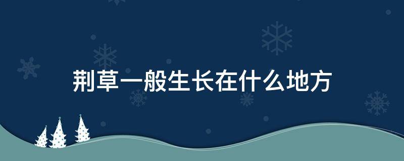 荆草一般生长在什么地方 问荆草一般生长在什么地方