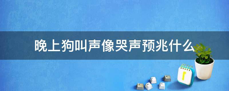 晚上狗叫声像哭声预兆什么（晚上狗叫声像哭声预兆什么早晨5点多狗嚎叫）