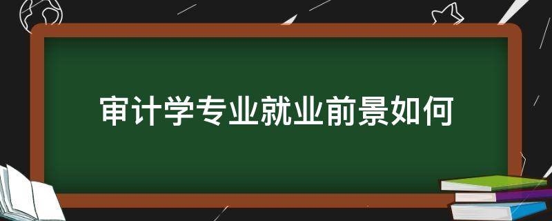 审计学专业就业前景如何 审计专业的就业前景