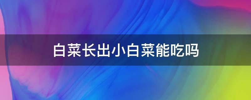 白菜长出小白菜能吃吗 白菜长出来的小白菜能吃吗