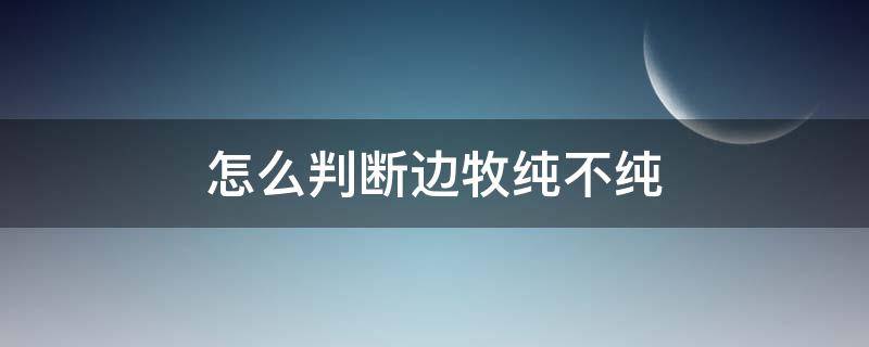 怎么判断边牧纯不纯（怎样鉴别边牧纯不纯）