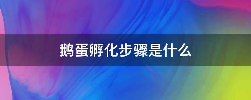 鹅蛋孵化步骤是什么（鹅蛋孵化流程和注意事项）