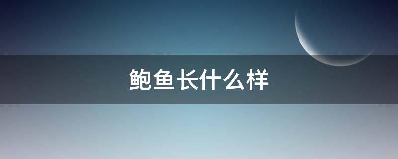 鲍鱼长什么样 鲍鱼长什么样子怎么吃?