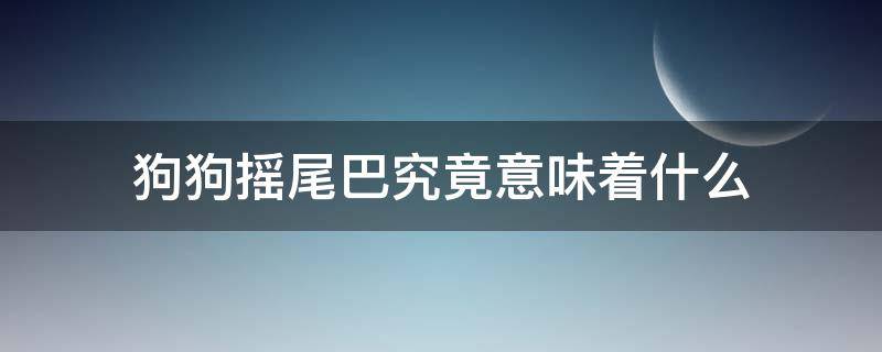 狗狗摇尾巴究竟意味着什么（狗狗摇尾巴表示什么）