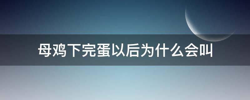 母鸡下完蛋以后为什么会叫（母鸡下蛋之后为什么会叫）