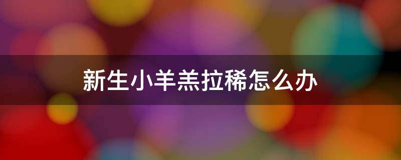 新生小羊羔拉稀怎么办 怎样预防新生小羊羔拉稀