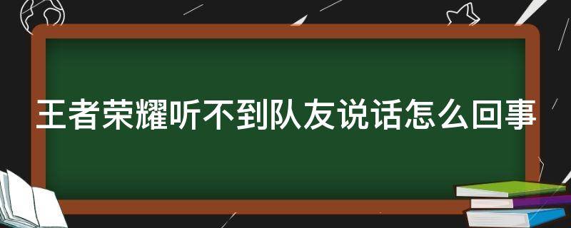 王者荣耀听不到队友说话怎么回事（王者荣耀没有声音了苹果手机）