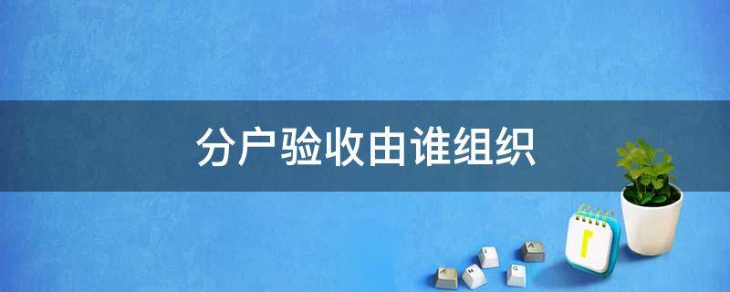 分户验收由谁组织（分户验收由谁组织实施）