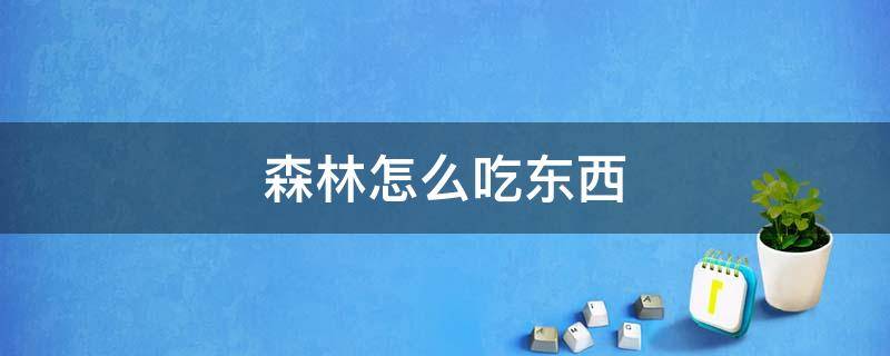 森林怎么吃东西 游戏森林怎么吃东西