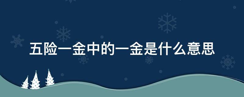 五险一金中的一金是什么意思（五险一金中的一金是指什么意思是什么）