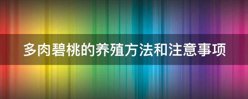 多肉碧桃的养殖方法和注意事项（多肉碧桃的养殖方法和注意事项视频教程）