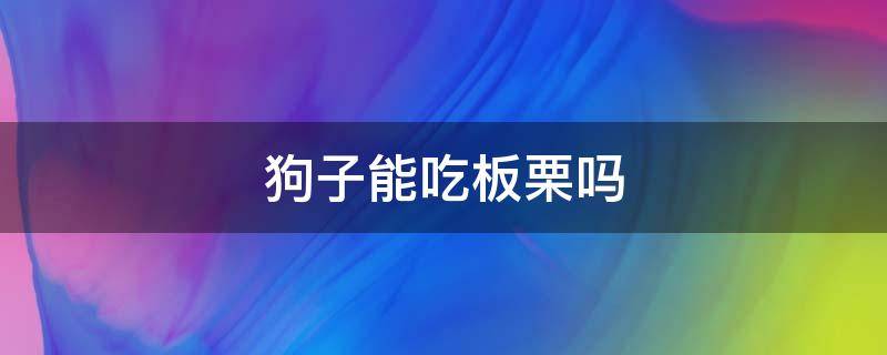 狗子能吃板栗吗 狗能不能吃板栗