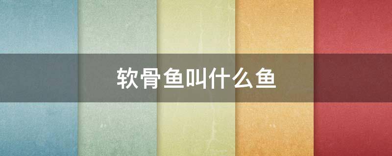 软骨鱼叫什么鱼 软骨鱼叫什么鱼嘴巴很长