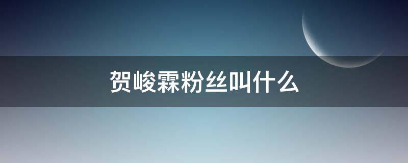 贺峻霖粉丝叫什么（贺峻霖粉丝叫什么好听）