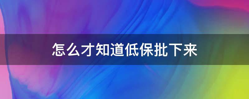 怎么才知道低保批下来（怎么才知道低保批下来查找低保网站）