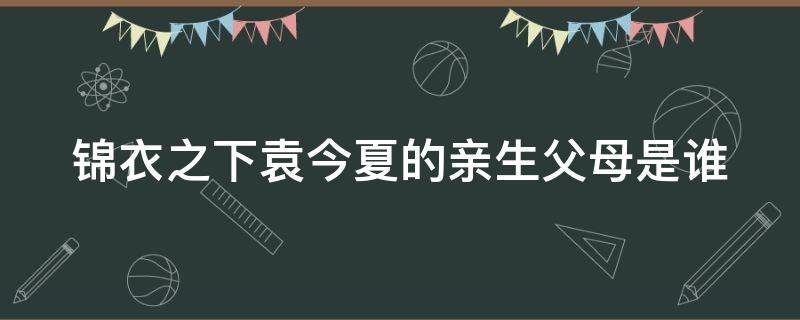 锦衣之下袁今夏的亲生父母是谁（陆绎要了今夏落红）