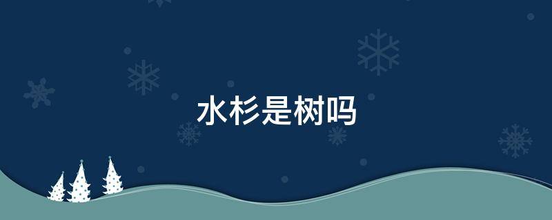 水杉是树吗 水杉树长啥样