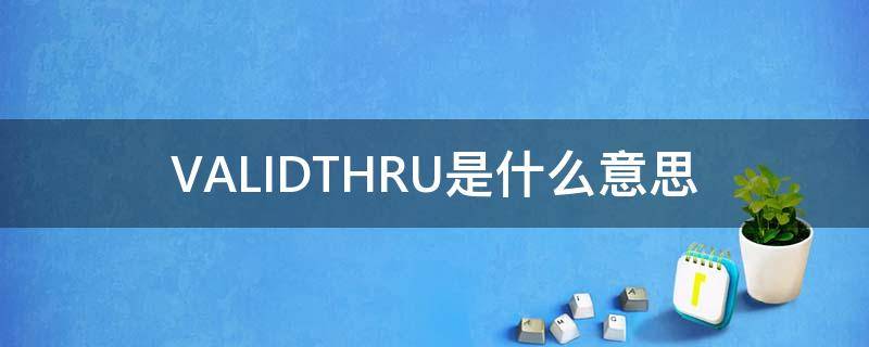 VALIDTHRU是什么意思（VALIDTHRU是什么意思）