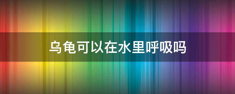 乌龟可以在水里呼吸吗（乌龟可以在水里呼吸么）