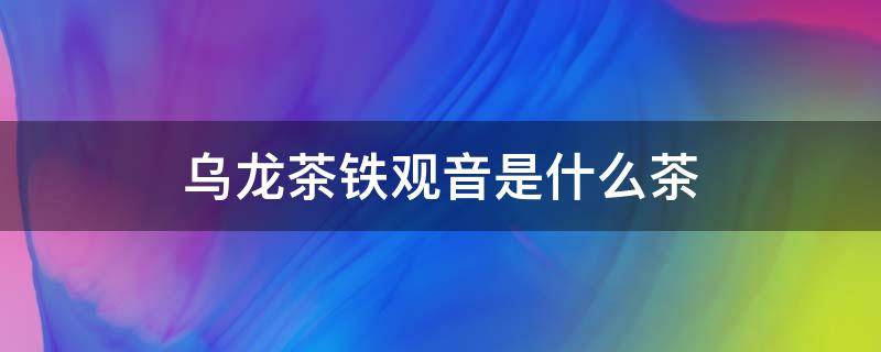 乌龙茶铁观音是什么茶 乌龙茶属于什么茶