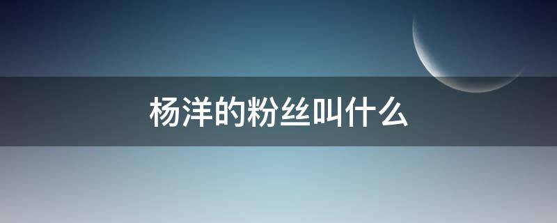 杨洋的粉丝叫什么（杨洋的粉丝叫什么名字）