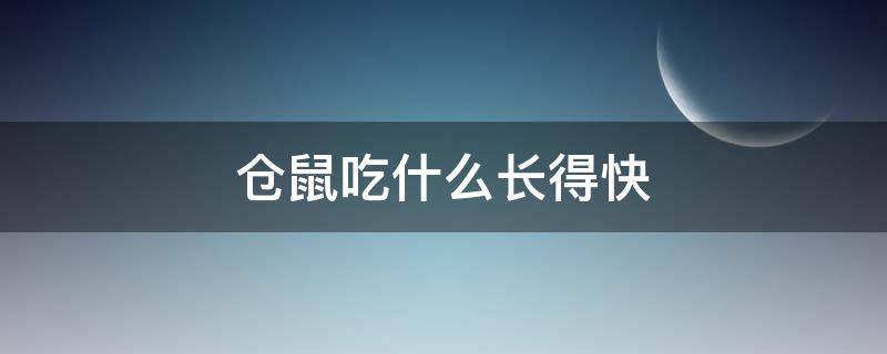 仓鼠吃什么长得快 仓鼠吃什么长毛快