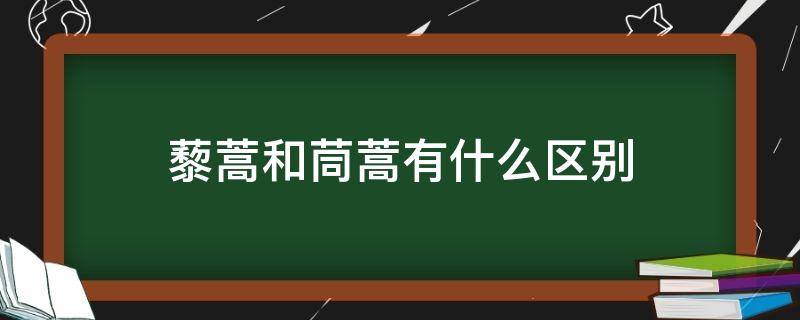 藜蒿和茼蒿有什么区别 茼蒿和藜蒿的区别