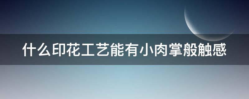 什么印花工艺能有小肉掌般触感 什么印花工艺最好