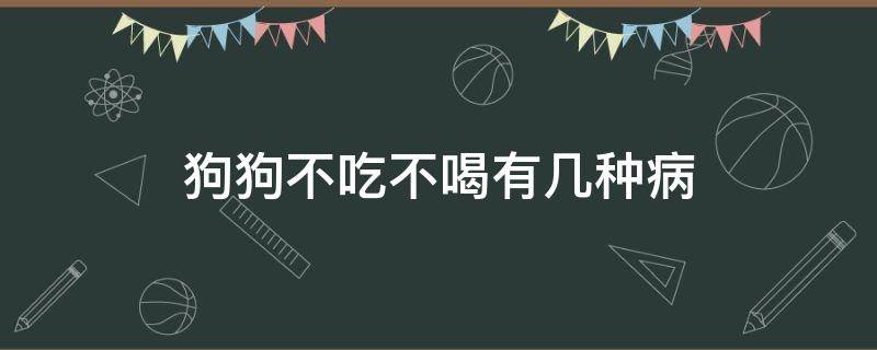 狗狗不吃不喝有几种病（狗狗不吃不喝什么病）