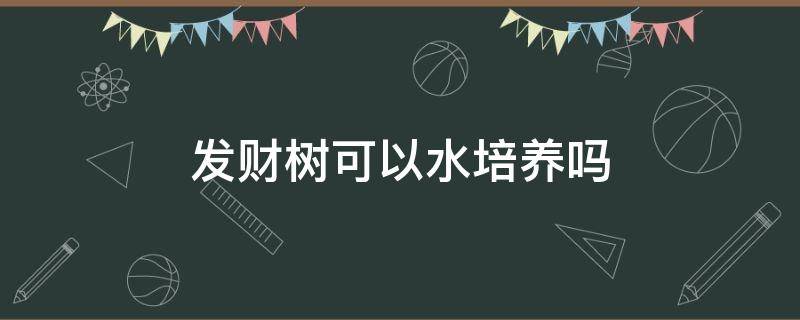 发财树可以水培养吗 发财树怎样水培