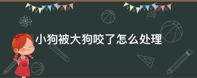 小狗被大狗咬了怎么处理 小狗被大狗咬了怎么处理伤口?