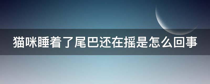 猫咪睡着了尾巴还在摇是怎么回事 猫猫睡着了尾巴还动