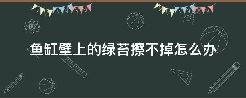 鱼缸壁上的绿苔擦不掉怎么办 鱼缸壁上的绿苔不去除可以吗