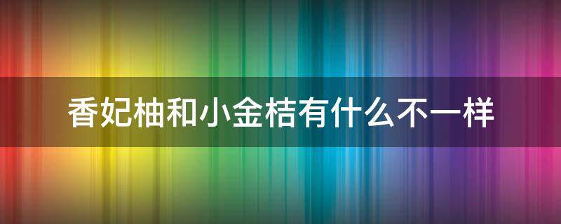 香妃柚和小金桔有什么不一样（香妃柚和金桔是一种水果吗）