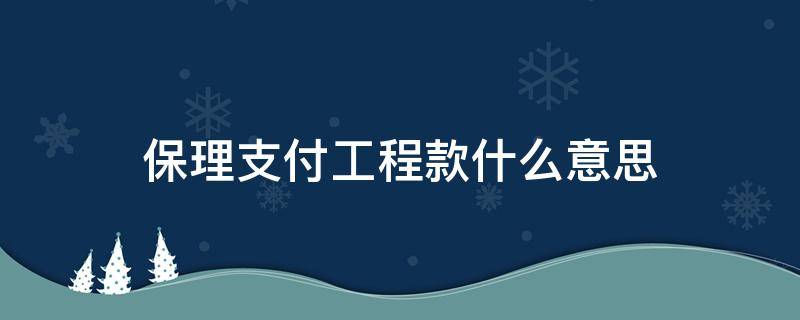 保理支付工程款什么意思（保理支付工程款什么意思办理要多久）