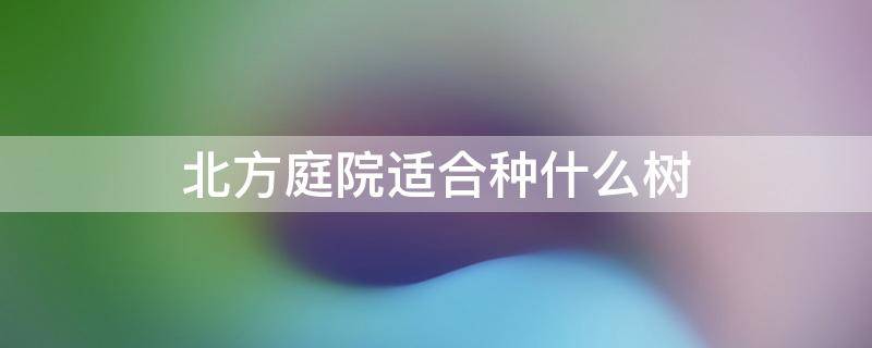 北方庭院适合种什么树（北方庭院适合种什么树冬天冻不死）