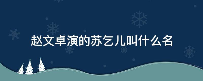 赵文卓演的苏乞儿叫什么名（赵文卓《苏乞儿》）