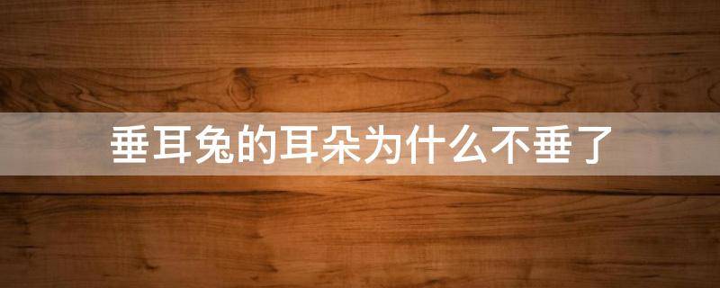 垂耳兔的耳朵为什么不垂了（不是垂耳兔为什么耳朵会垂下去）