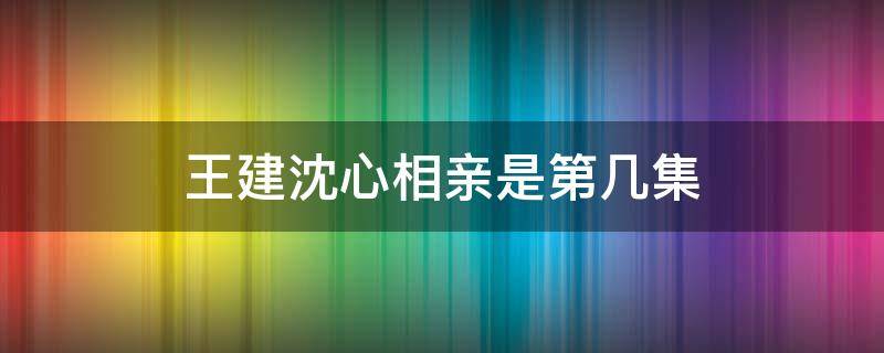 王建沈心相亲是第几集 沈心和王建相亲第几集